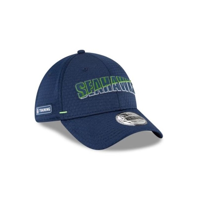 Blue Seattle Seahawks Hat - New Era NFL Official Summer Sideline 39THIRTY Stretch Fit Caps USA2305714